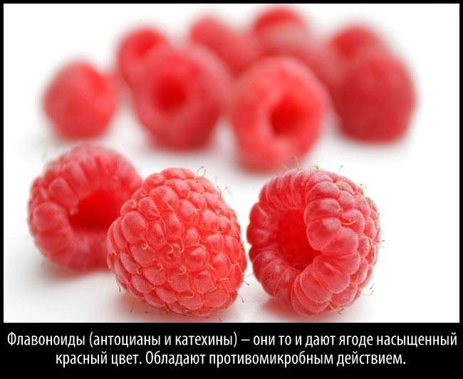 Малина: польза и вред для здоровья детей
