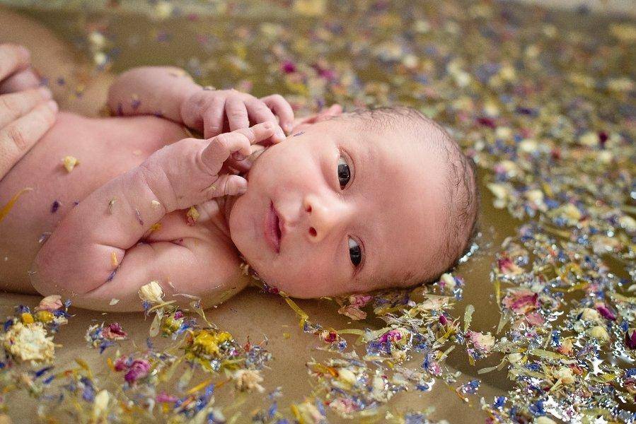 Купание ребёнка в травах – травы для купания новорожденного