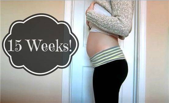 15 неделя беременности. календарь беременности