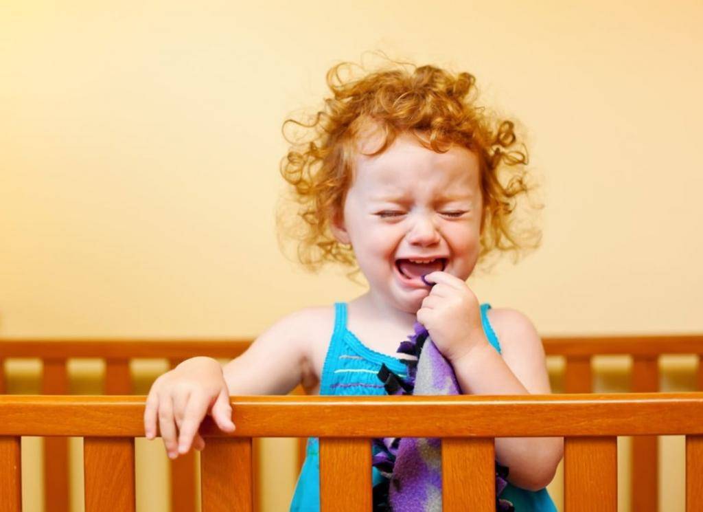 Истерики у ребенка в 3 года – как вести себя родителям