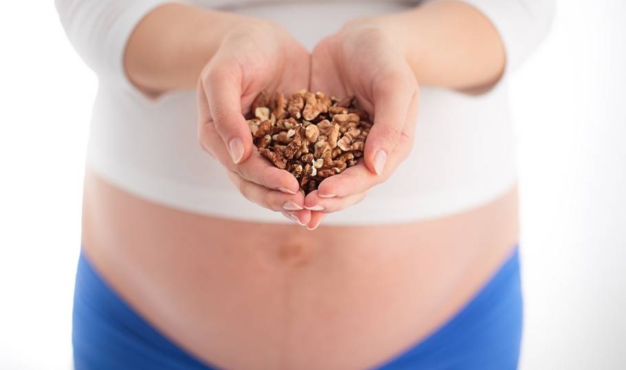Фундук при беременности: польза и вред, 1,2,3 триместры
