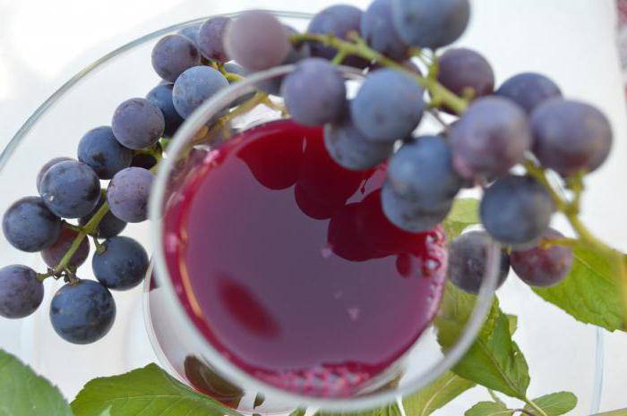 С какого возраста рекомендуется давать детям виноград