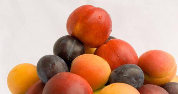 Можно ли персики при грудном вскармливании: польза и вред