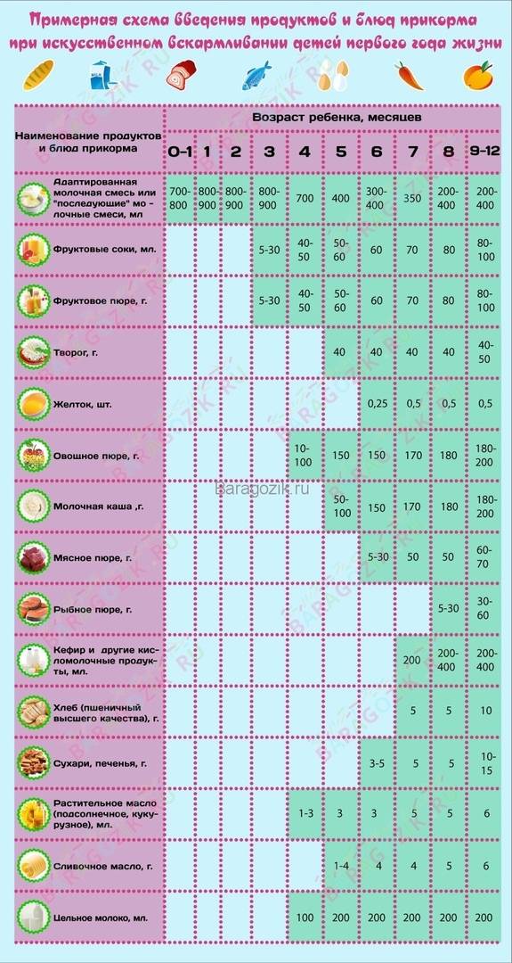 Первый прикорм детей до года при грудном вскармливании: таблица и схема