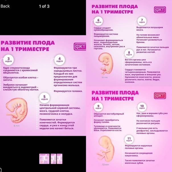 Недоношенный ребенок (педиатрия)
