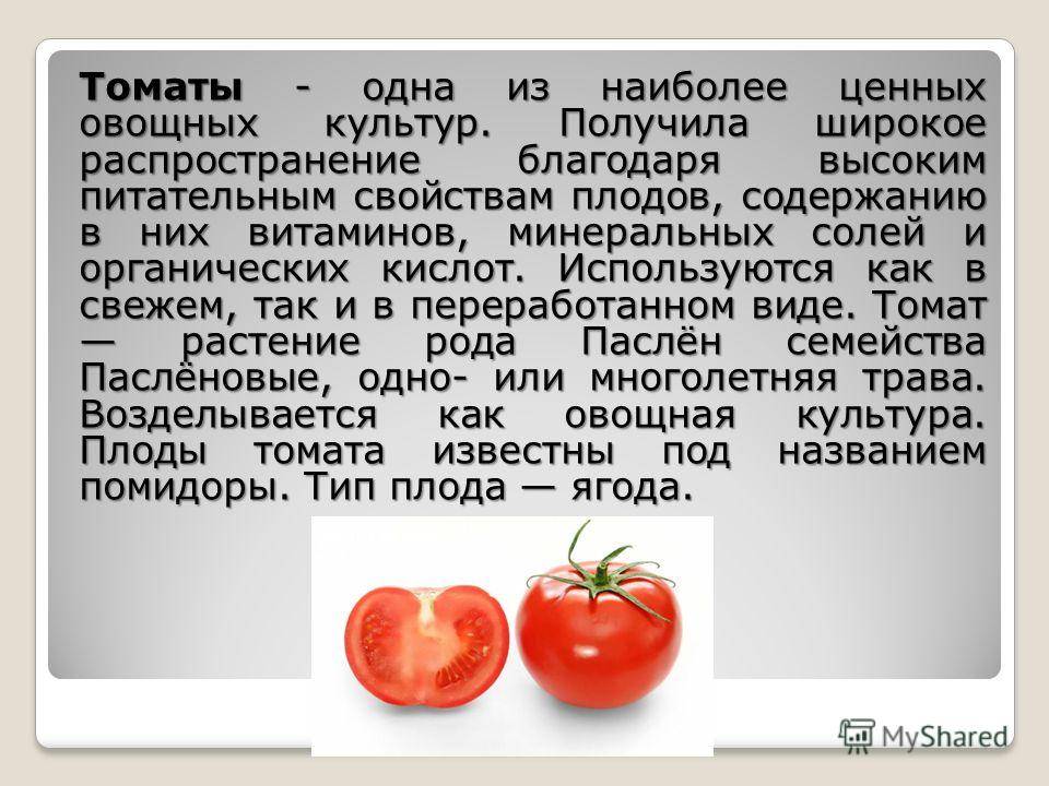 Когда можно есть помидоры ребенку