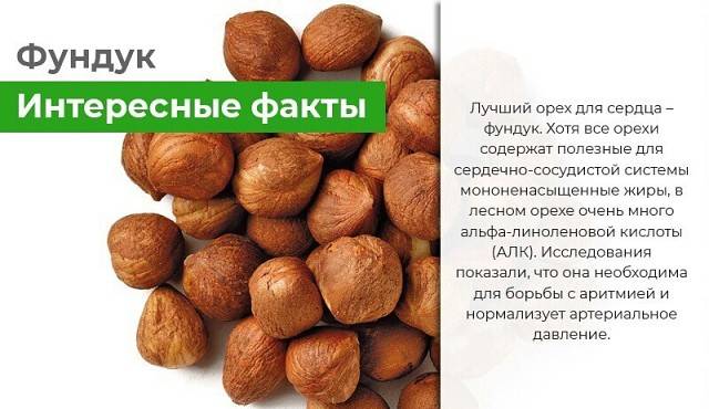 Орехи: польза и вред для здоровья человека