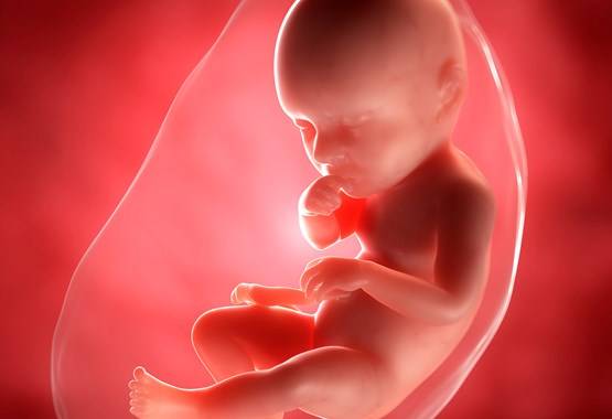 39-я неделя беременности: особенности, подготовка к родам