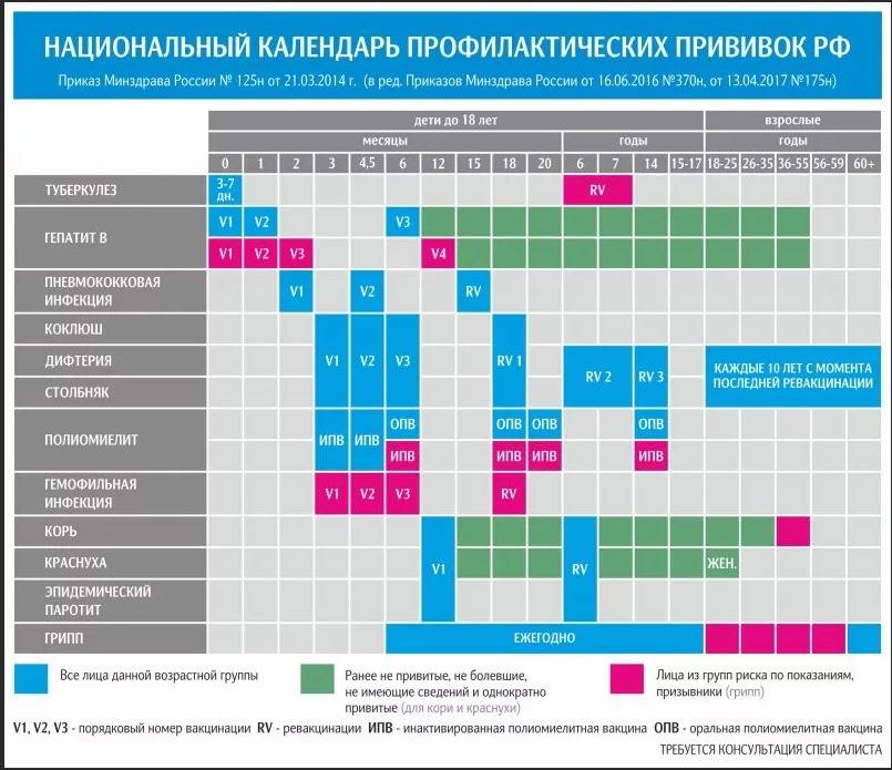 График и таблица календаря прививок для детей до 1 года по месяцам
