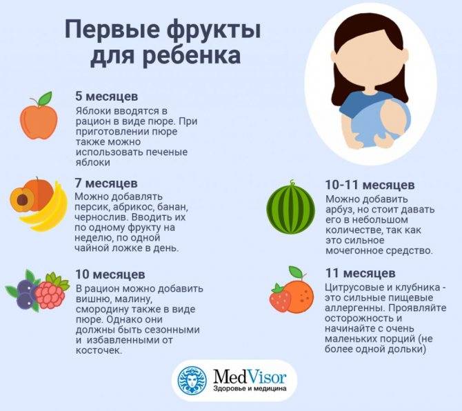 Овощи для первого прикорма грудничка и 12 рекомендаций врача по их приготовлению