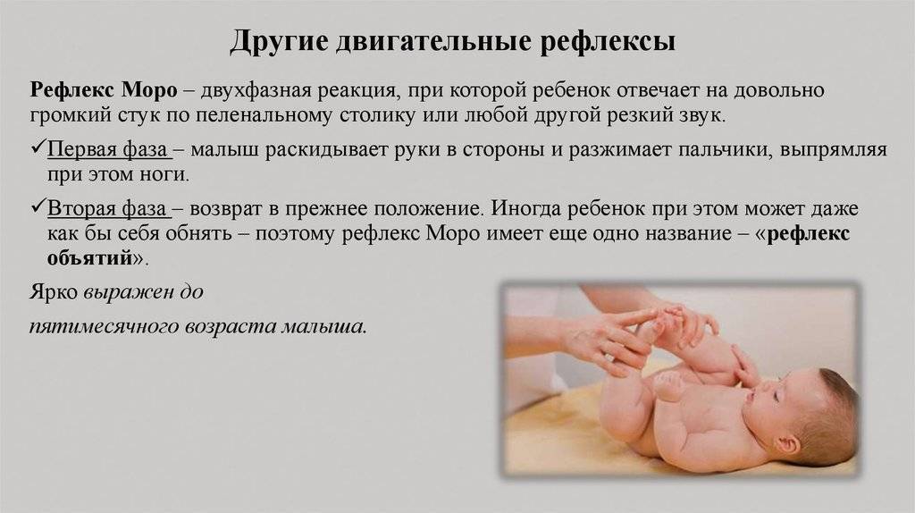 Рефлекс моро у новорожденных детей: когда проходит, спонтанный рефлекс