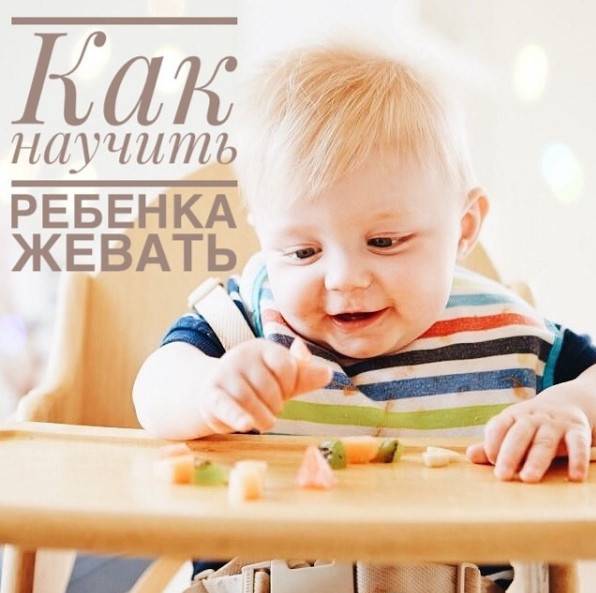 Как научить ребенка жевать твердую пищу: рекомендации родителям