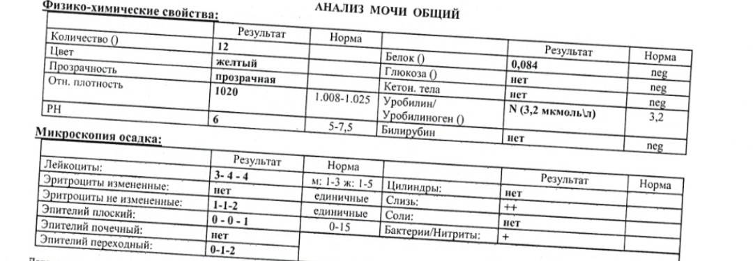 Белок в 3 триместре. Суточный анализ мочи на белок норма. Суточный анализ мочи при беременности норма. Анализ на белок при беременности. Суточный белок мочи норма.