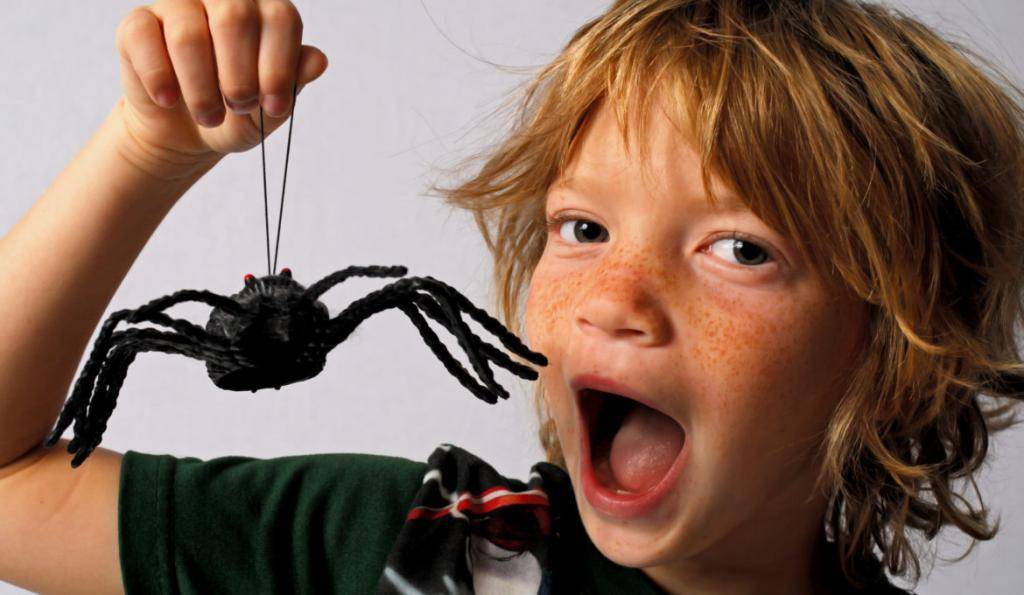 Ребенок панически боится насекомых до истерики, что делать?— психологический центр инсайт