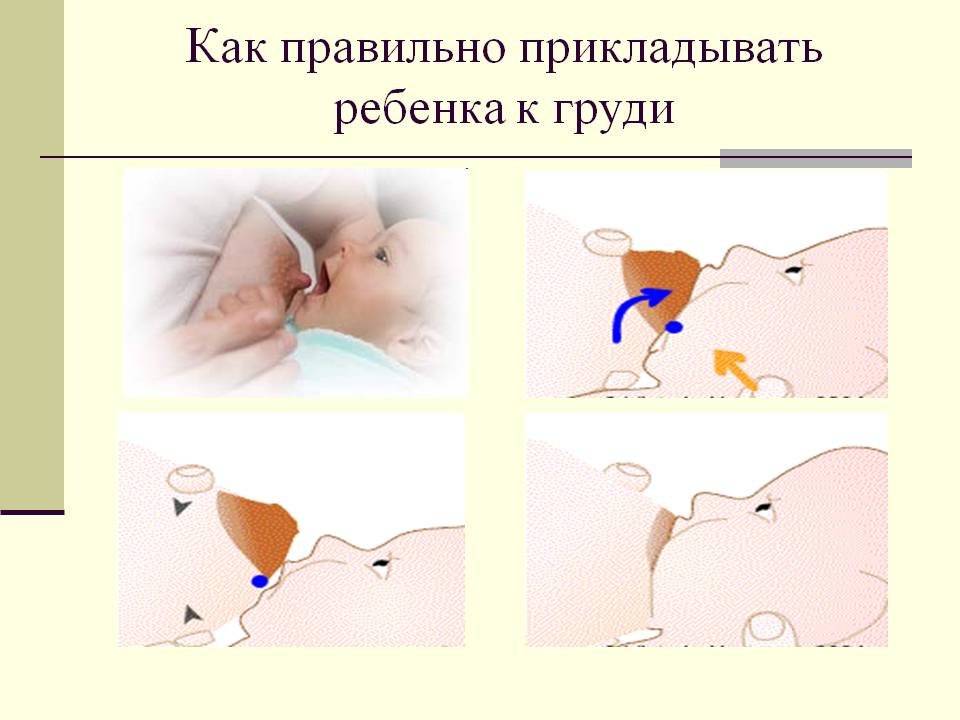 Правила прикладывания ребенка к груди для кормления - топотушки