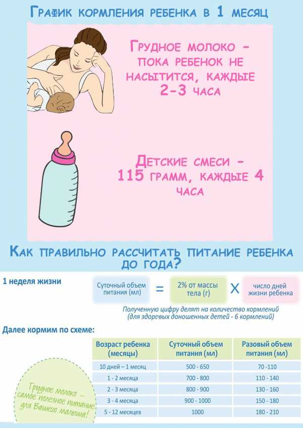Основные правила кормления новорожденного грудным молоком