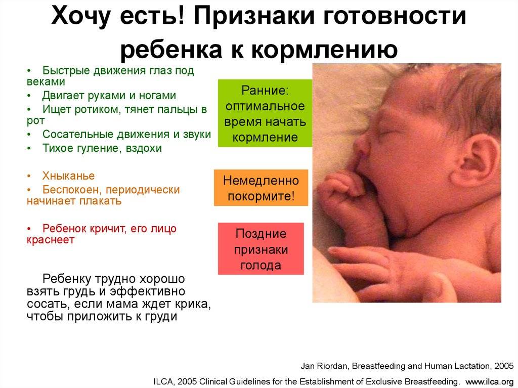 Как понять что смесь не подходит новорожденному: симптомы и тактика помощи