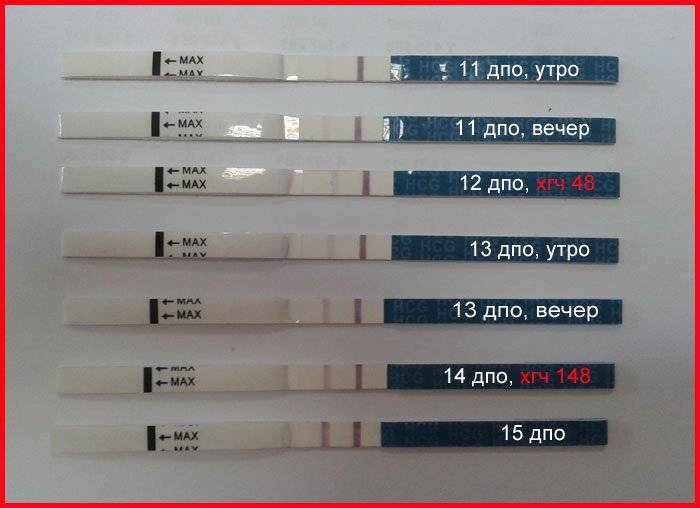 ᐉ бледная полоска на тесте – есть ли беременность? на тесте слабая полоска – беременна или нет - ➡ sp-kupavna.ru