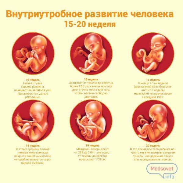 Фото узи ребенка на разных сроках беременности