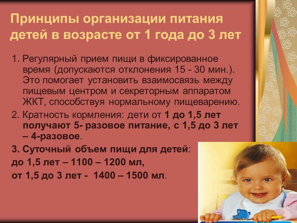 Питание ребенка от 1 до 3 лет: меню на день и основные продукты. наш ребенок.