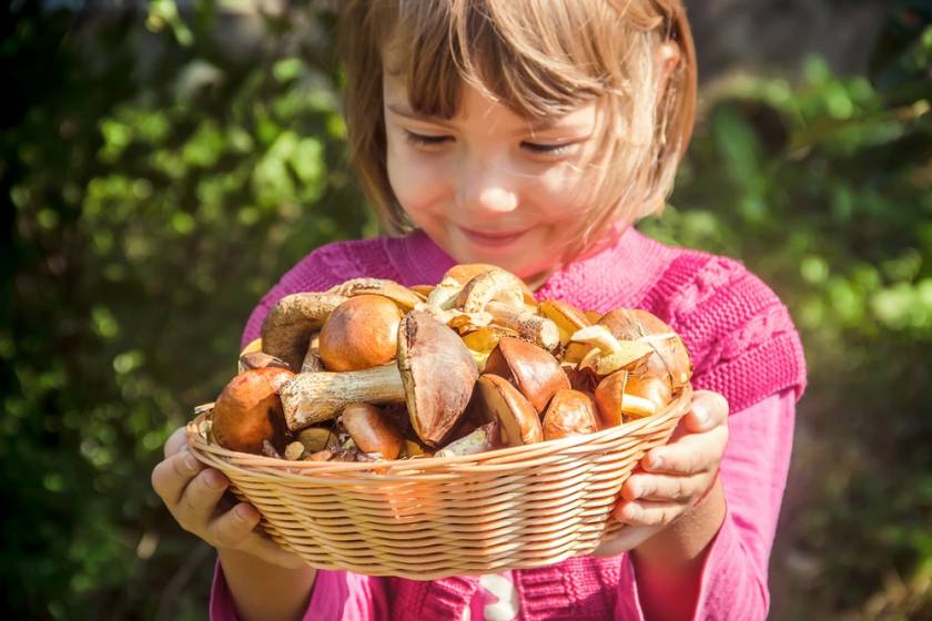 С какого возраста грибы можно безопасно включать в рацион детей