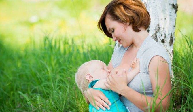 Укроп при грудном вскармливании: можно ли кормящей маме