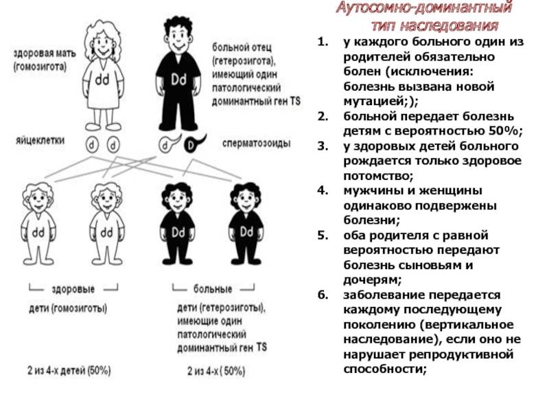 Что дети могут унаследовать исключительно от отца - медицинский портал medcentre24.ru