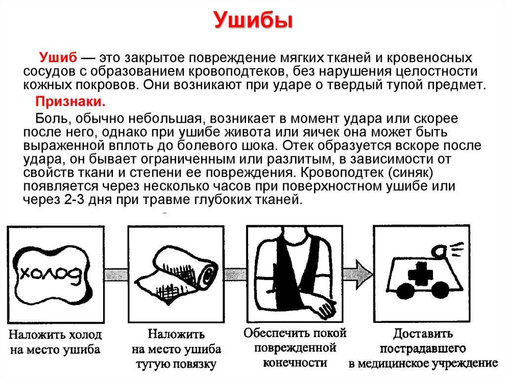 Как понять, что у ребёнка сломан нос pulmono.ru
как понять, что у ребёнка сломан нос
