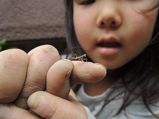 Ребенок боится насекомых: как исправить ситуацию?
