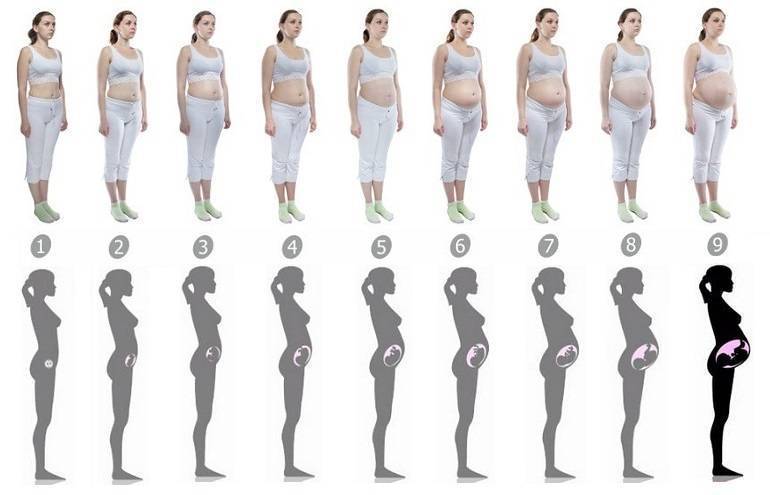 Набор веса при беременности: таблица норм по неделям и месяцам