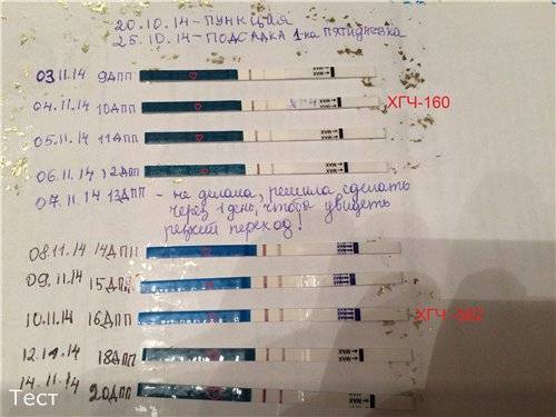 Тест на беременность неделя после акта. Тест на беременность после задержки. Тесты на беременность по дням. Тесты по дням задержки. Тест на беременность после зачатия.