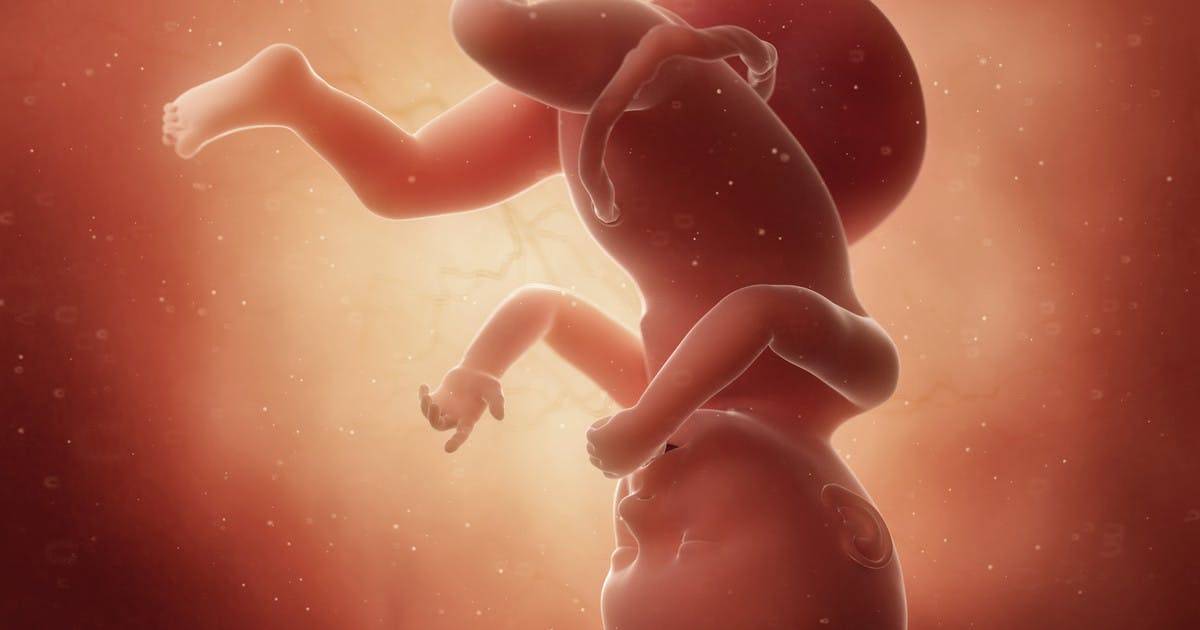 ➤ 40 неделя беременности всё что нужно знать будущим родителям