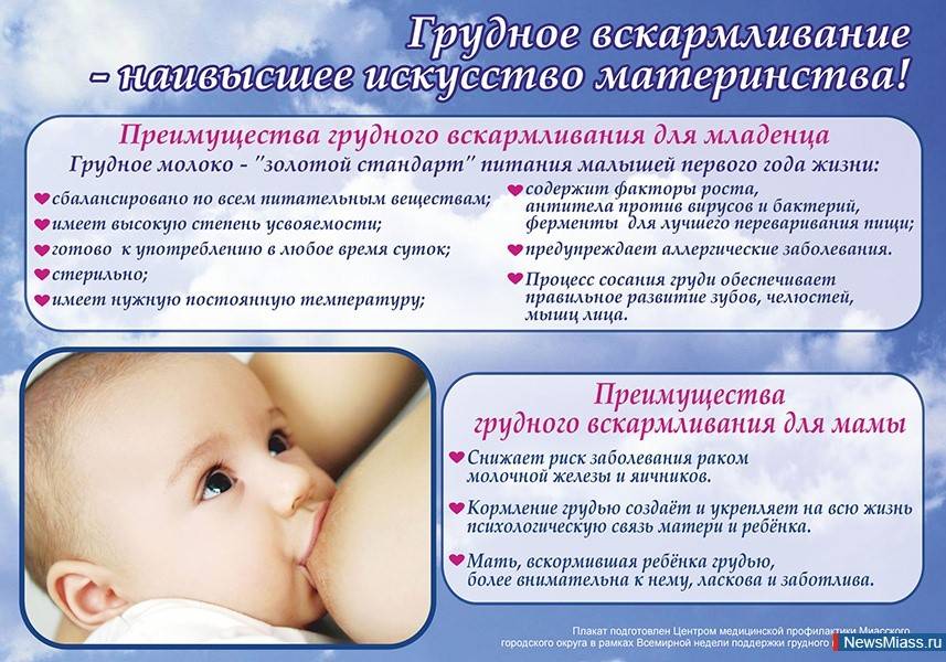 17 вопросов о новорожденном