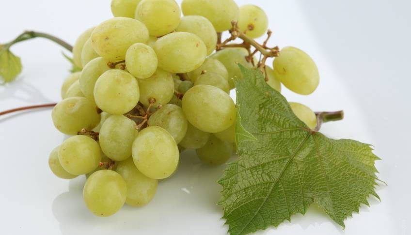 Беременным есть виноград полезно или вредно?