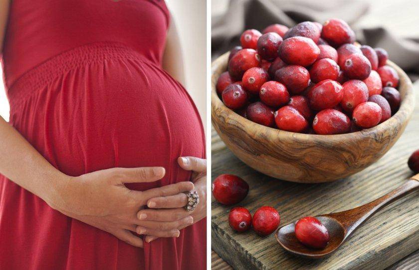 Клюква для беременных: польза и противопоказания | салид