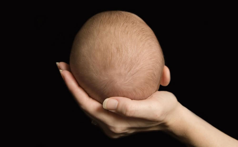 Родничок у новорожденного: когда зарастает, каким должен быть, почему пульсирует, не закрывается