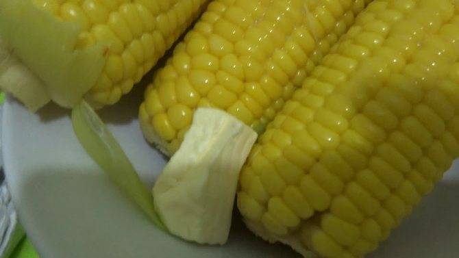 Можно ли кушать кукурузу при грудном вскармливании: ее польза и вред для здоровья