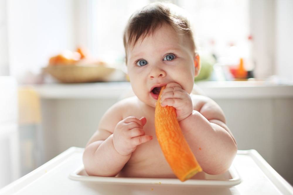 Как вводить морковь в прикорм грудничку: со скольки месяцев, чем полезна малышу, что делать, если у ребенка не переваривается овощ, а также когда или с какого возраста можно давать сырой корнеплод