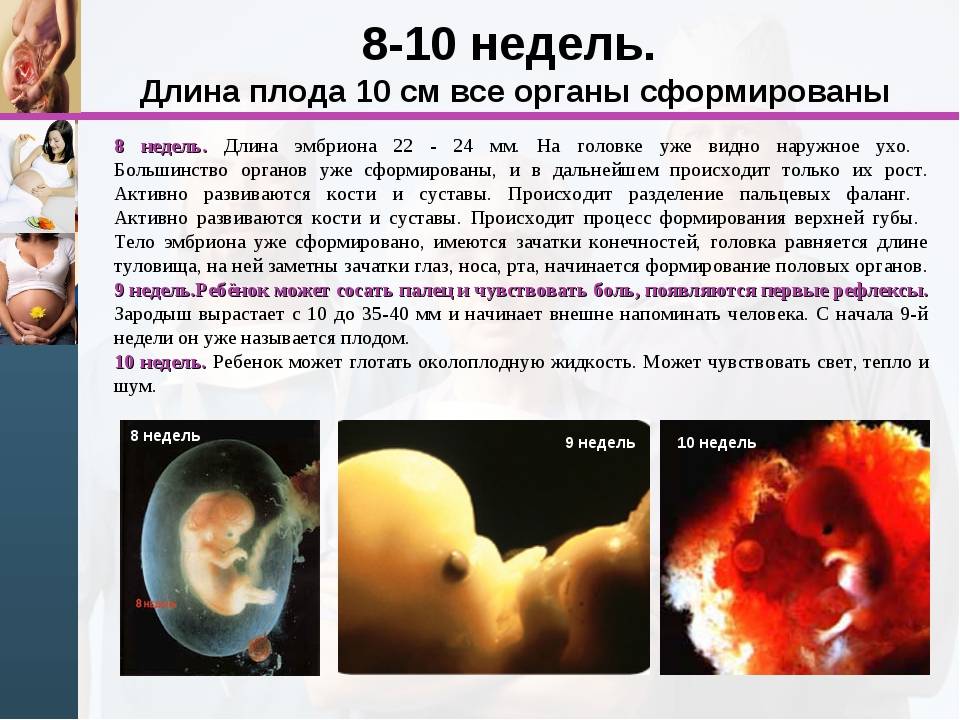 3 недели беременности от зачатия: признаки, симптомы и ощущения – что происходит с плодом на третьей неделе беременности — медицинский женский центр в москве
