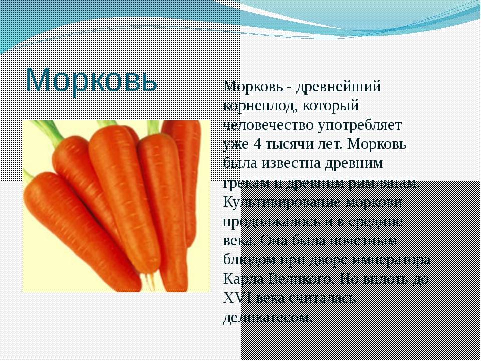 Морковь во время беременности: польза и вред овоща для организма