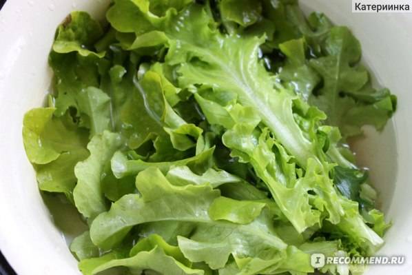 Можно ли кормящей маме листья салата - для мам