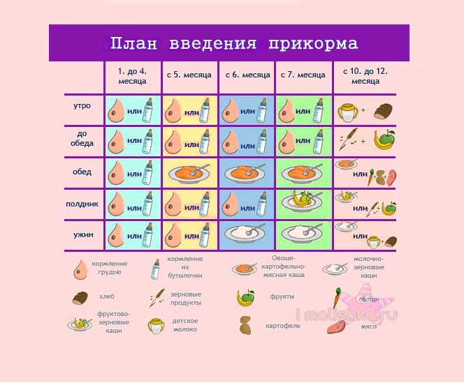 Схема ввода прикорма при грудном вскармливании с 5 месяцев таблица