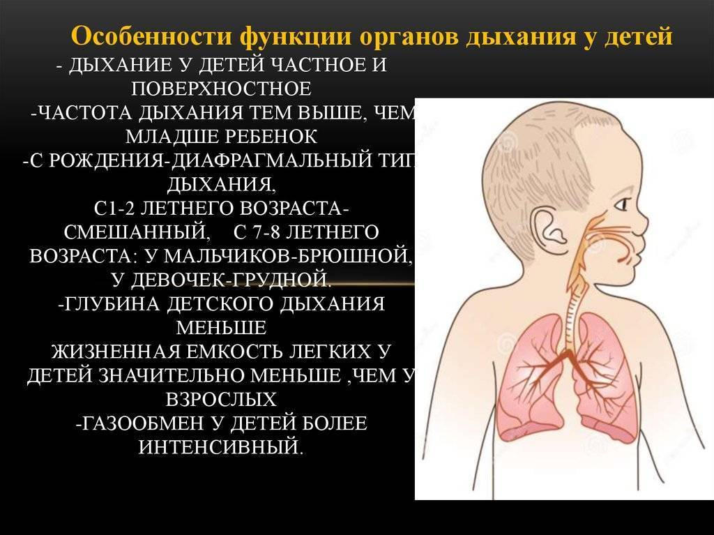 Почему новорожденный малыш часто дышит во сне ~ факультетские клиники иркутского государственного медицинского университета