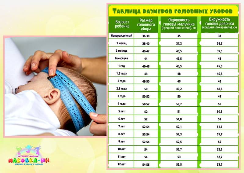  окружность головы ребенка по месяцам: таблица норм