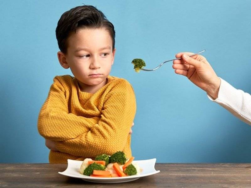 Дети отказываются кушать. почему ребёнок ничего не хочет есть?