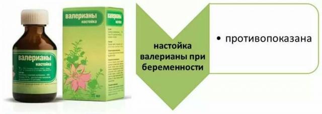 Применение валерьянки при беременности и грудном вскармливании