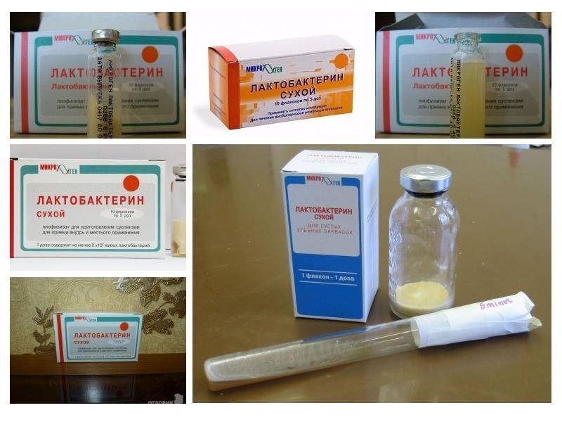 Лактобактерин: описание, инструкция, цена | аптечная справочная ваше лекарство