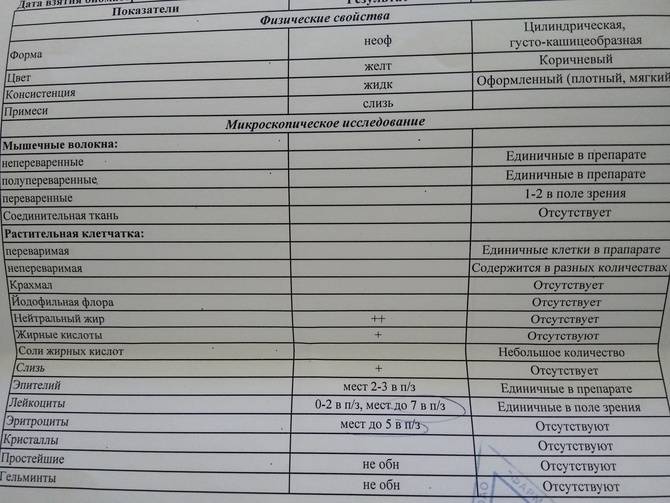 Слизь в кале норма. Мышечные волокна в анализе кала. Норма мышечных волокон в Кале у взрослого. Копрограмма мышечные волокна с исчерченностью.