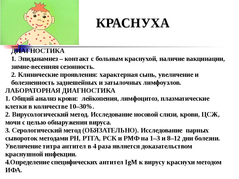 План обследования при краснухе