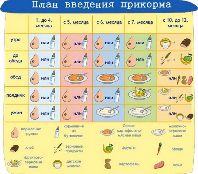 Схема введения прикорма у детей до года | москва